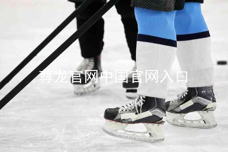 尊龙官网中国官网入口
