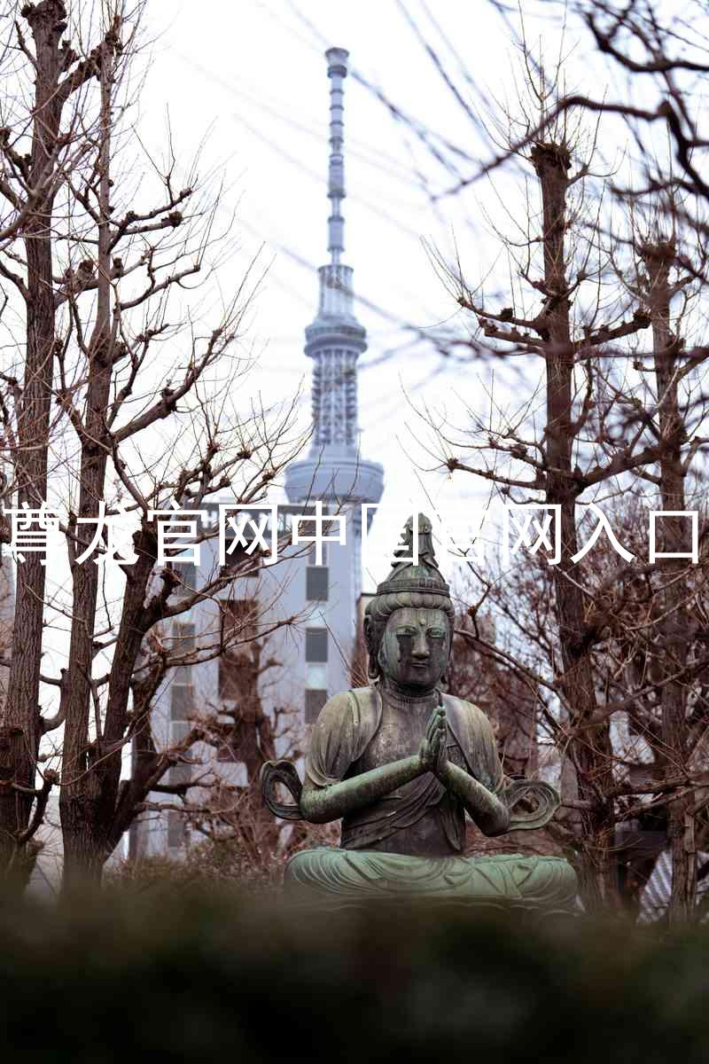 尊龙官网中国官网入口