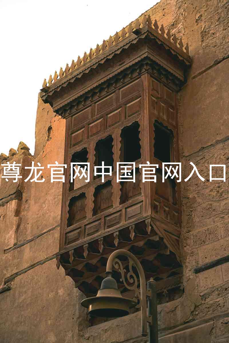 尊龙官网中国官网入口
