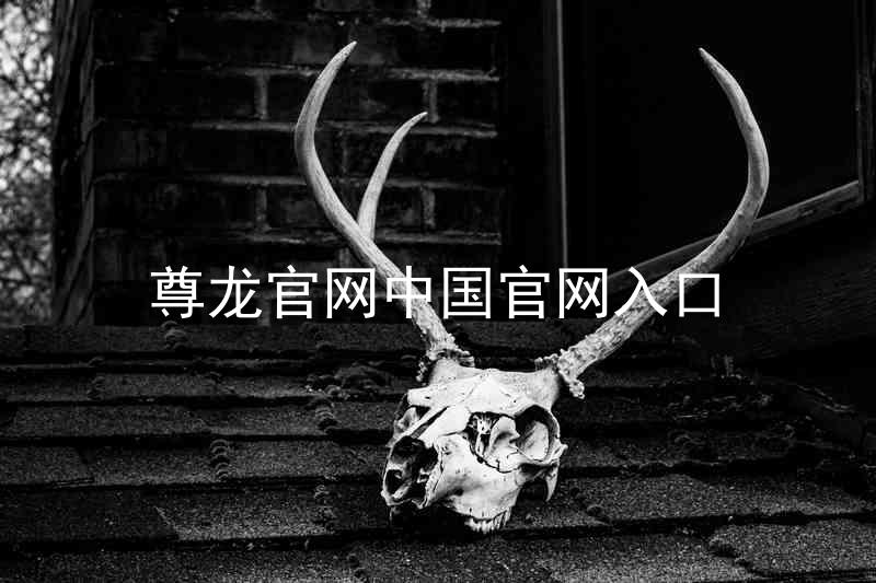 尊龙官网中国官网入口