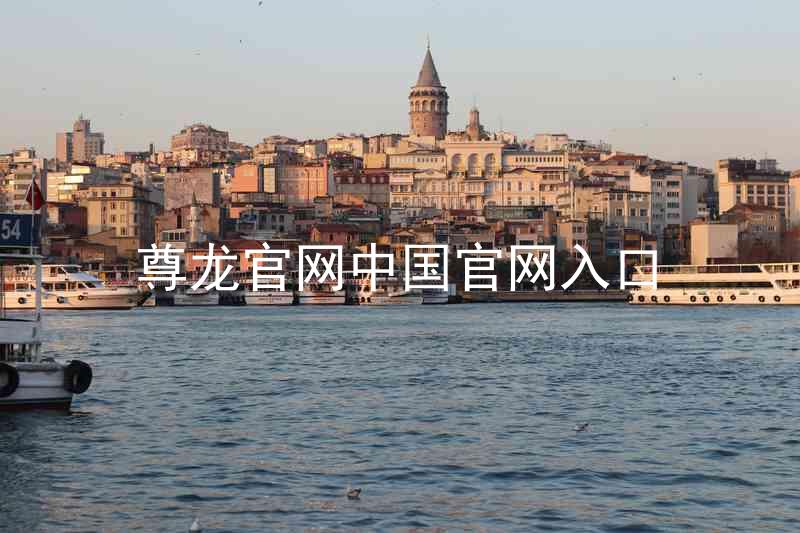 尊龙官网中国官网入口