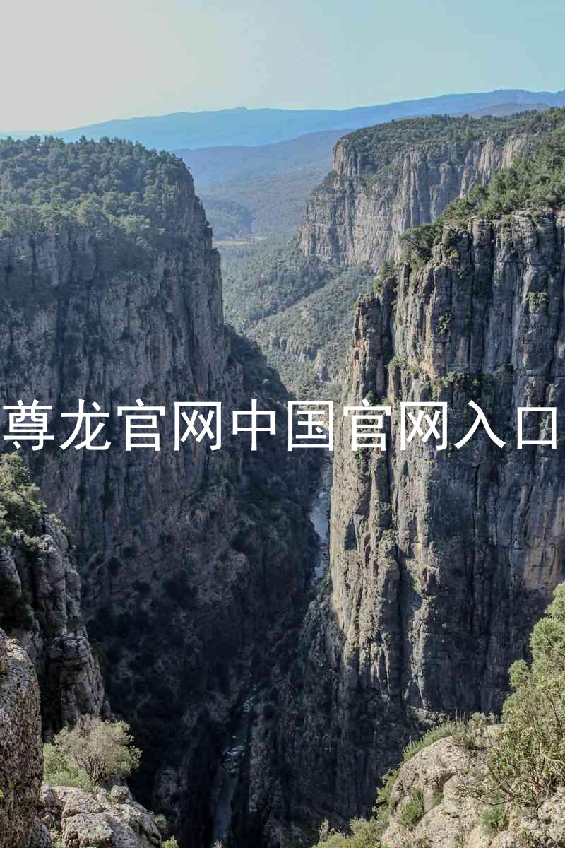 尊龙官网中国官网入口