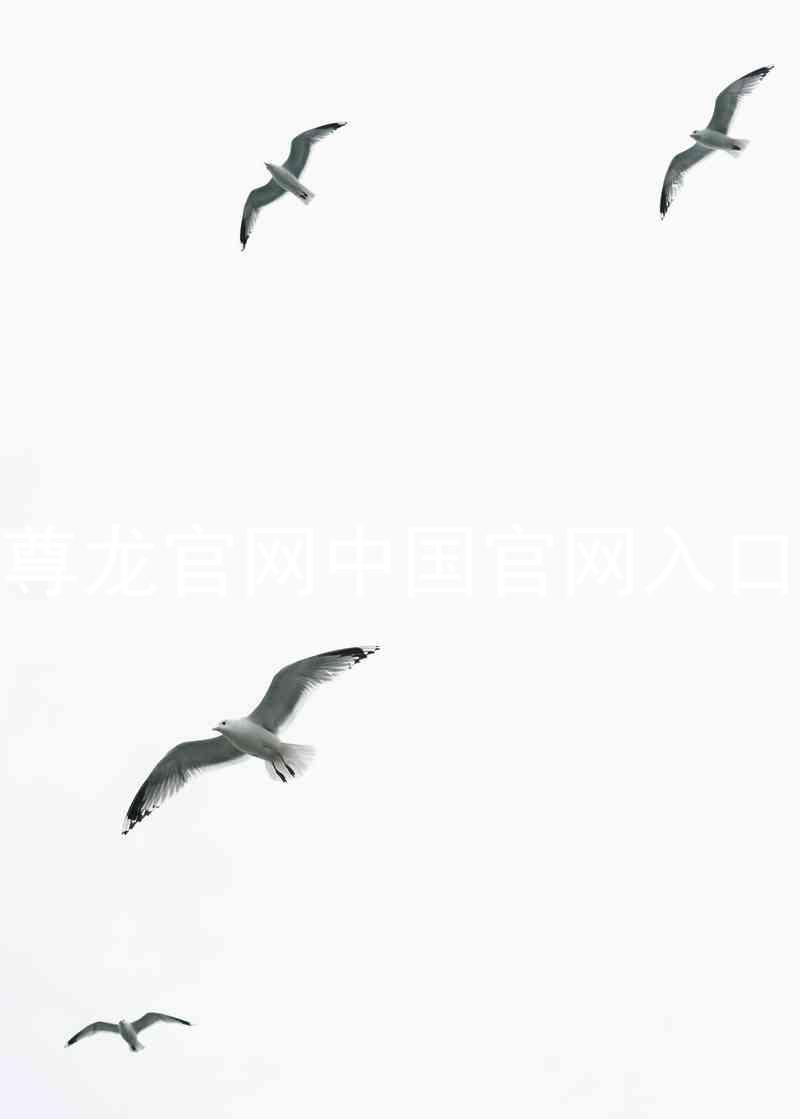 尊龙官网中国官网入口